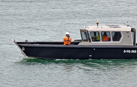 Inspecteren en schouwen